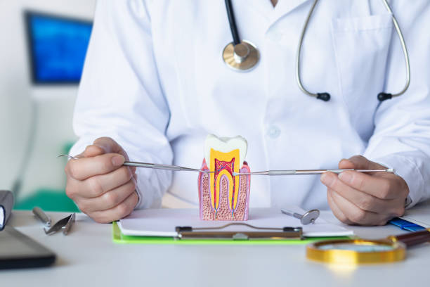 Best Dentist for Tooth Abscess  in Robertsville, NJ